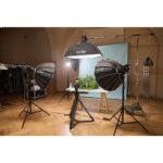 Godox Litemons LE300 Bi-color LED Light (black) - Imagen 4