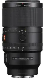 Sony FE 100mm F2.8 Macro GM OSS - Imagen 3