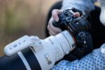 Sony FE 100–400mm F4,5 GM OSS - Imagen 6