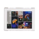 SmallRig RM 03 Macro Photography LED Video Light Kit (3 pack) 6520 - Imagen 9