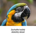 Sony FE 100–400mm F5.6-8 OSS - Imagen 6
